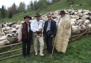 600 owiec u Jarka Bucka na 600 lecie lokacji Ochotnicy